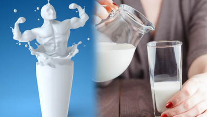 Beber leite antes de dormir enfraquece? Dieta permanente e saudável para emagrecer