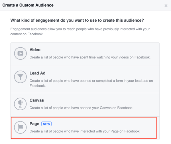 Escolha Página para criar seu público personalizado no Facebook.