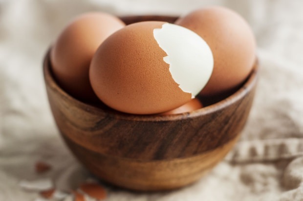 Análise orgânica de ovos