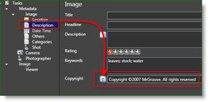 Fotógrafo do Microsoft Pro Photo Tools MetaData Auto Direitos autorais:: groovyPost.com