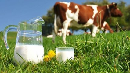 O que é alergia ao leite? Quando a alergia ao leite passa nos bebês? Alergia ao leite de vaca ...