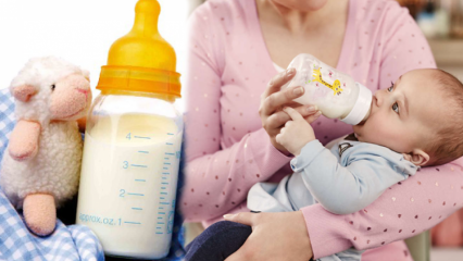 Como preparar comida para bebês em casa? Receitas nutritivas de comida para bebê