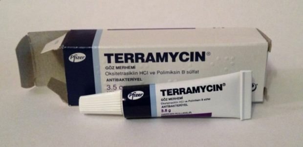 O que é o creme Terramycin (Teramycin)? Como usar Terramycin? O que faz a Terramicina?