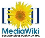 Plug-in do MediaWiki para Microsoft Word 2010 e 2007