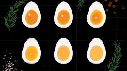 Como o ovo é fervido? Tempos de fervura do ovo! Quantos minutos um ovo cozido ferve?