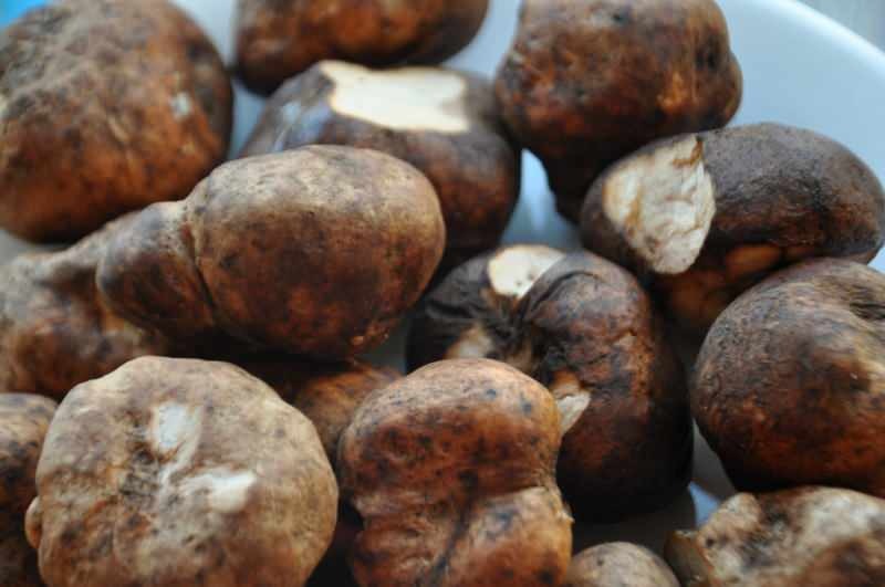 imagem de cogumelo de trufa misturada com batata