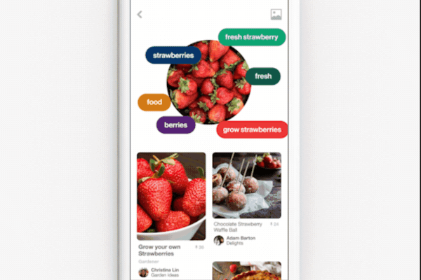 O Pinterest lançou a capacidade de usar a câmera de lente para tirar uma foto de um prato inteiro e obter receitas para recriar a refeição.