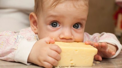 Seleção de queijo para bebês