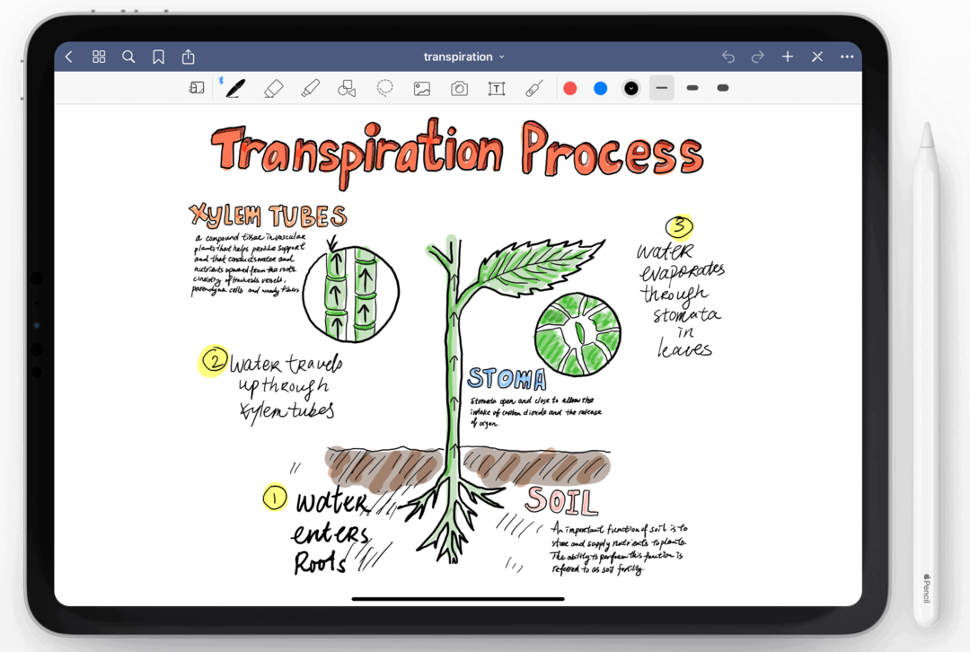 Goodnotes for iPad