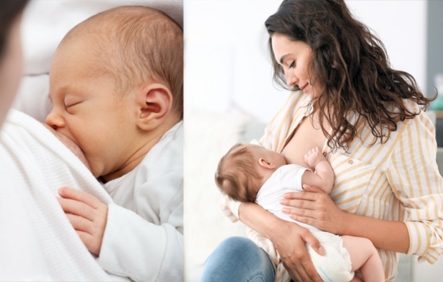 Quanto um bebê recém-nascido pode absorver? Tempo de amamentação do recém-nascido