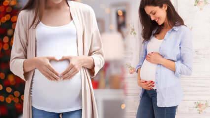 Qual é o período de ovulação? Quando ter relações sexuais para engravidar?