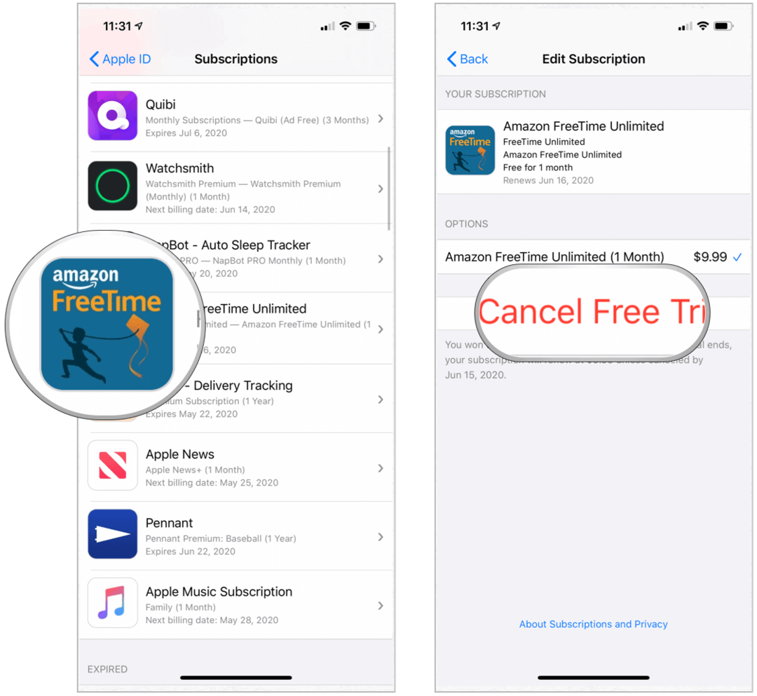 App Store Cancelar avaliação gratuita