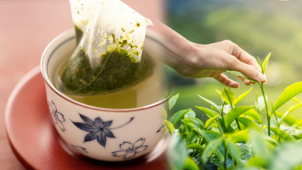 Agitar o chá verde enfraquece? Qual é a diferença entre saquinhos de chá e chá? Se você bebe chá verde na hora de dormir ...