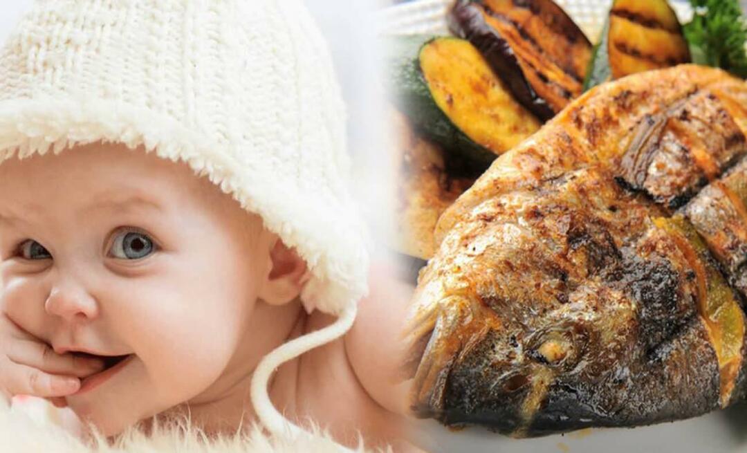 Quando dar peixe para bebês? Como dar peixe para bebês e como cozinhá-lo?