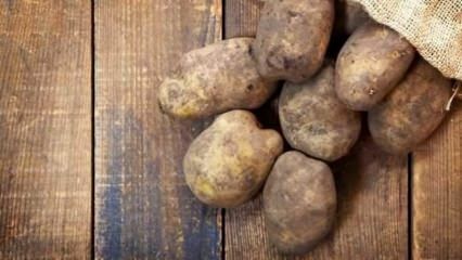 Como as batatas são armazenadas?
