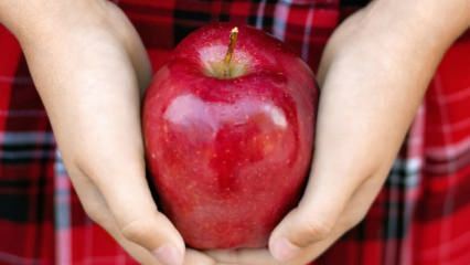 Como são avaliadas as maçãs podres? 