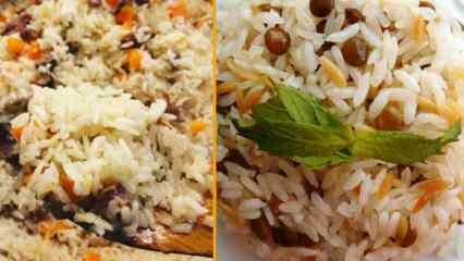 Quais são as variedades de arroz? As receitas de arroz mais diversas e em grande escala