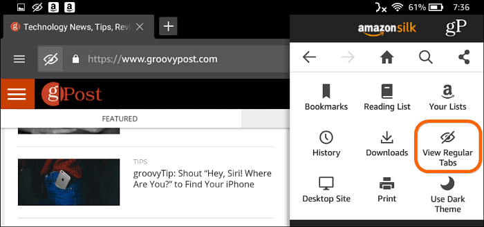 Navegador Privado do Silk Browser