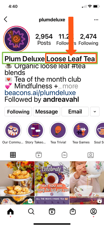 exemplo de perfil do instagram para @splumdeluxe mostrando palavras-chave 'ameixa deluxe' e 'chá de folhas soltas' na biografia de sua página, permitindo que apareçam bem nos resultados de pesquisa