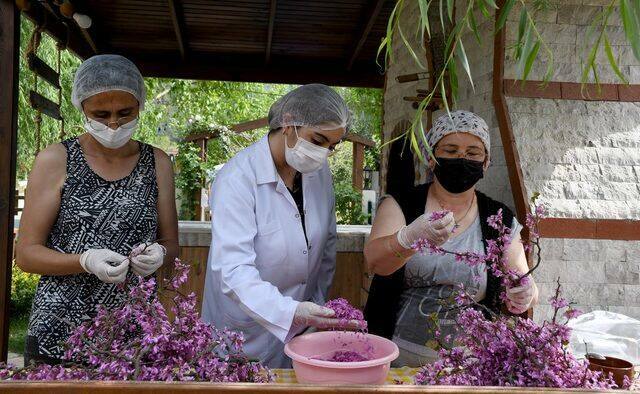 Como fazer o doce de flor redbud mais fácil? Dicas para geléia de flor de redbud