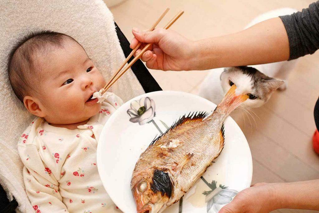 alimentando peixe para bebê