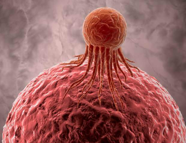 células cancerígenas afetam negativamente outras células saudáveis