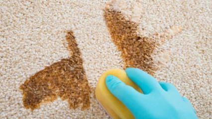 Como fazer spray para limpeza de carpetes em casa?