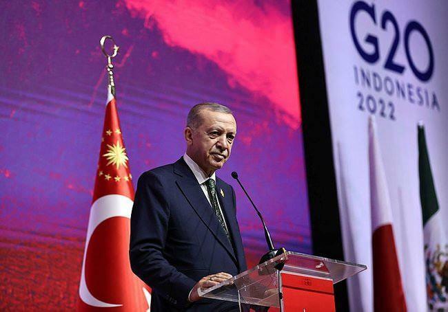 O presidente Recep Tayyip Erdoğan fez declarações sobre Ahmet Kaya 