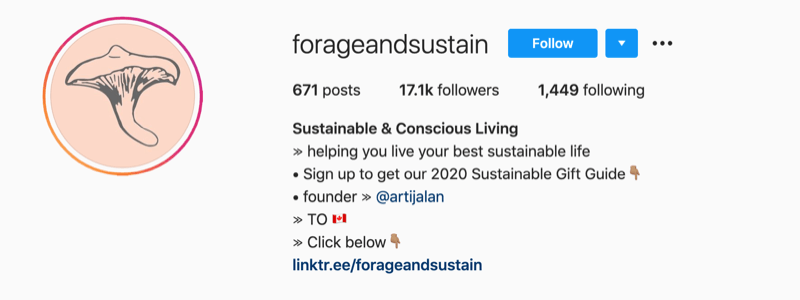 exemplo de perfil do Instagram de @forageandsustain com uma nota nas informações do perfil para clicar no link da biografia para mais