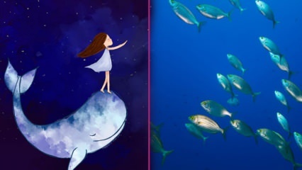 O que significa ver peixes em um sonho? De acordo com Diyanet, o significado de pescar em um sonho ...