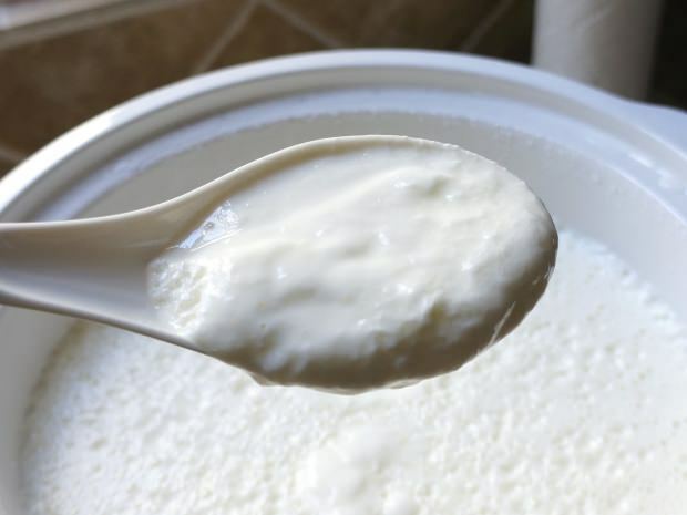 receita mais fácil de iogurte