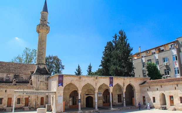Mesquita Adana Yağ