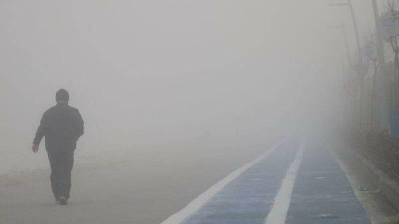 É prejudicial passear com neblina?