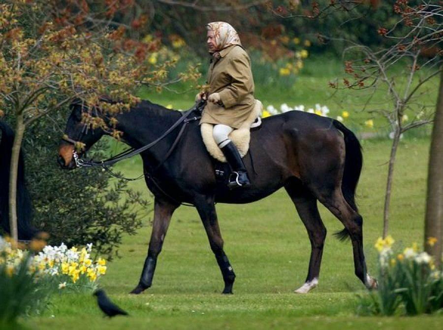 Rainha Elizabeth em um passeio a cavalo 