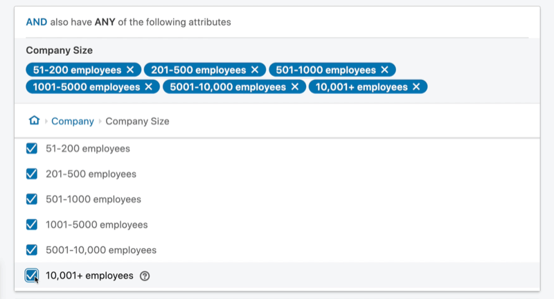 exemplo de público-alvo de campanha publicitária do LinkedIn 'e' atributo definido com o tamanho da empresa entre 51 e 10.001+ funcionários