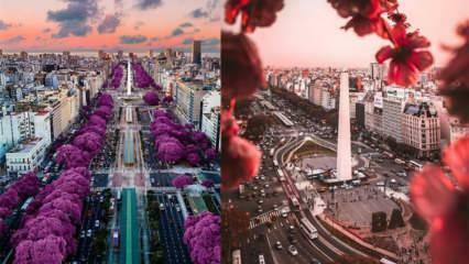 A cidade do bom tempo: lugares para visitar em Buenos Aires!