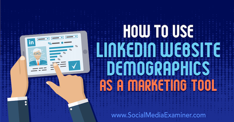 Como usar a demografia do site do LinkedIn como ferramenta de marketing por Daniel Rosenfeld no examinador de mídia social.