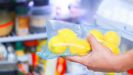 Como guardar limões na geladeira? Sugestões para que o limão não fique mofado