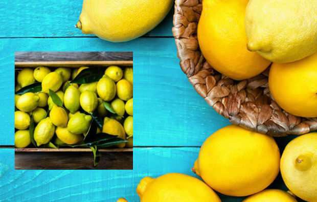 emagrecimento com dieta de limão