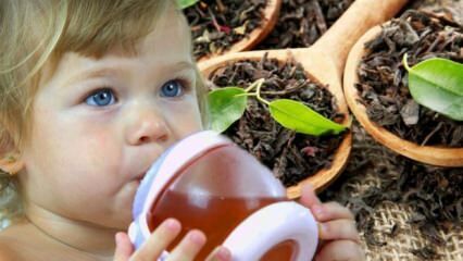 Os bebês podem beber chá?