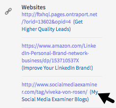 Embora você não possa mais personalizar seus links de perfil do LinkedIn, pode incluir descrições ao lado deles.