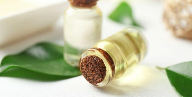 Quais são os benefícios do creme de óleo da árvore do chá para a pele? Recomendações de uso de creme de óleo de melaleuca