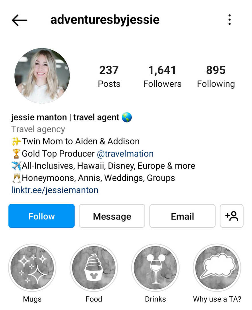 instagram-bio-adventuresbyjessie-business-name-exemplo