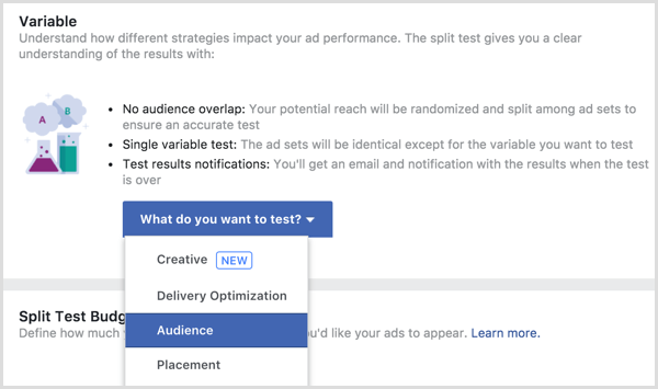 Variável de teste de divisão de anúncio do Facebook