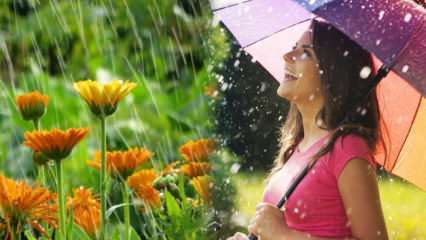 A chuva de abril está sarando? Quais são as orações a serem lidas na água da chuva? Benefícios da chuva de abril