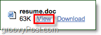 visualizar arquivos .doc no gmail