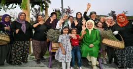 A primeira-dama Erdoğan visitou a Vila Ecológica e colheu lavanda em Ancara