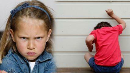 Como lidar com o problema de raiva em crianças? Causa de raiva e agressão em crianças 