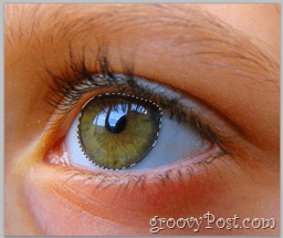 Adobe Photoshop Basics - Olho humano seleciona toda a camada ocular