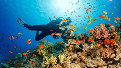 4 rotas especiais para mergulho subaquático! os pontos de mergulho mais bonitos da Turquia